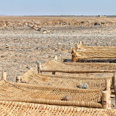  hasır danakil Etiyopya Afrika Milli Parkı turistik ve tipik oitside ahşap yatak için kamp için yapılan 