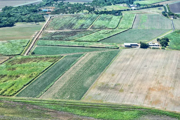 Textura Campo Austrália Colutivação Alto — Fotografia de Stock