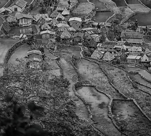 Blur Philippines Terrace Field Coultivation Rice Banaue Unesco Site — Stock Photo, Image