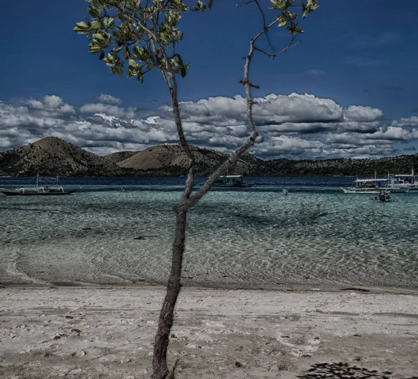 Isla Filipinas Hermoso Cosatline Árbol Colina Barco Para Turista —  Fotos de Stock
