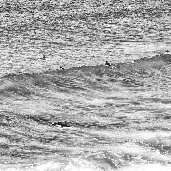 Avustralya Sydney Insanlar Okyanus Sörf Spor — Stok fotoğraf