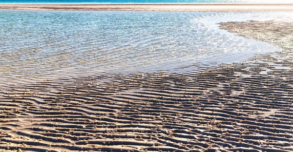호주에서 해변의 오순절 좋아하고 — 스톡 사진