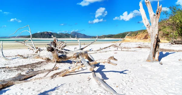 Strand Der Paradise Bay Whitsunday Island Australien — Stockfoto