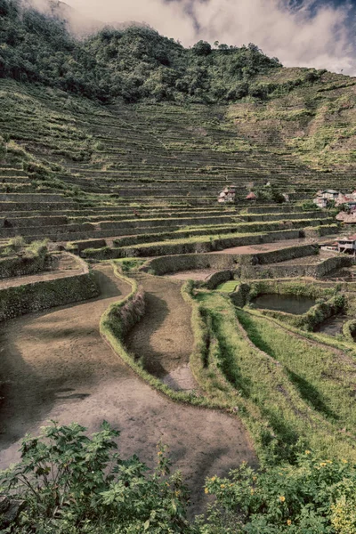 Desenfoque Filipinas Terraza Campo Para Coultivation Arroz Banaue Unesco Sitio —  Fotos de Stock