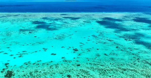 Australië Natuarl Park Grote Reef Van Het Hoge Idee Van — Stockfoto