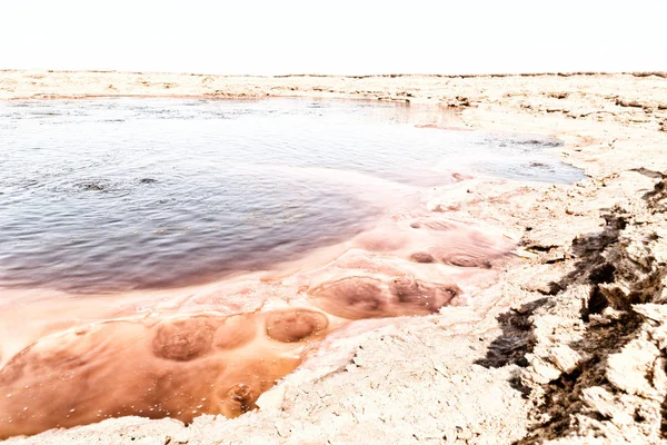 Danakil Äthiopien Afrika Der Schwarze See Mit Siedendem Und — Stockfoto