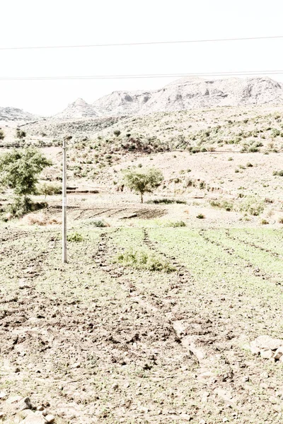 Ethiopië Afrika Het Nationale Park Berg Heuvel — Stockfoto