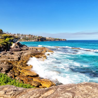 Avustralya'da sydney defne kaya ve bondi beach yakınındaki ocean