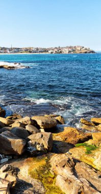 Avustralya'da sydney defne kaya ve bondi beach yakınındaki ocean
