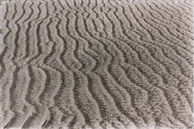 Avustralya Whitsunday Adası ve doku soyut beyaz Beach