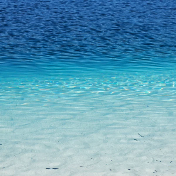 Avustralya Kavramı Relax Yakınındaki Kıyı Şeridi Temiz Suda — Stok fotoğraf