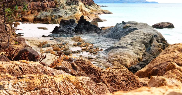 Australië Het Strand Van Whitsunday Eiland Boom Rotsen — Stockfoto