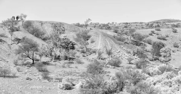 Australia Meteorite Caduta Natura Selvaggia Nell Entroterra — Foto Stock