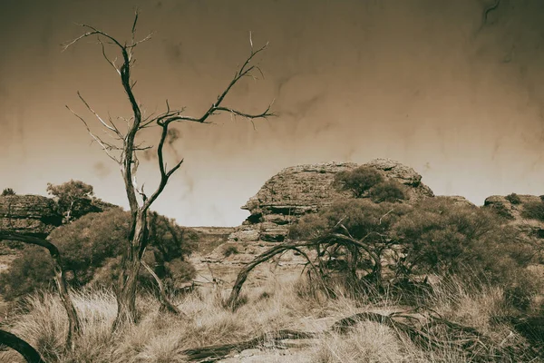 Avustralya Vahşi Kral Kanyonu Doğa Taşra — Stok fotoğraf