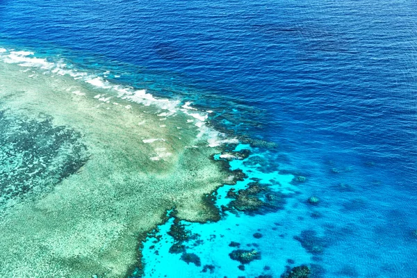 Австралії Natuarl Парк Великий Риф Високою Концепція Рай Стокове Фото