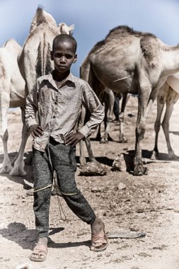 Etiyopya'da Afrika genç çocuk deve piyasada 