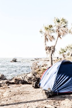  Ulusal parkta turist ve çadır kamp