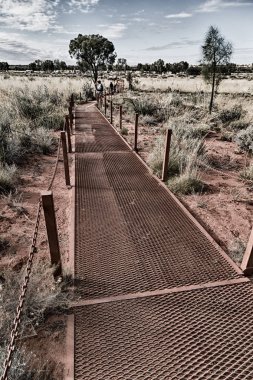 taşra Kanyonu doğa vahşi ve bush