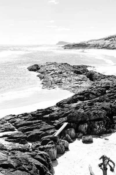 En australia la isla de playa el árbol y las rocas — Foto de Stock