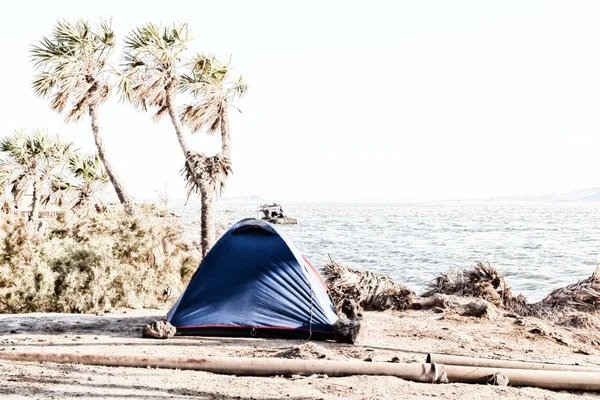  Ulusal parkta turist ve çadır kamp