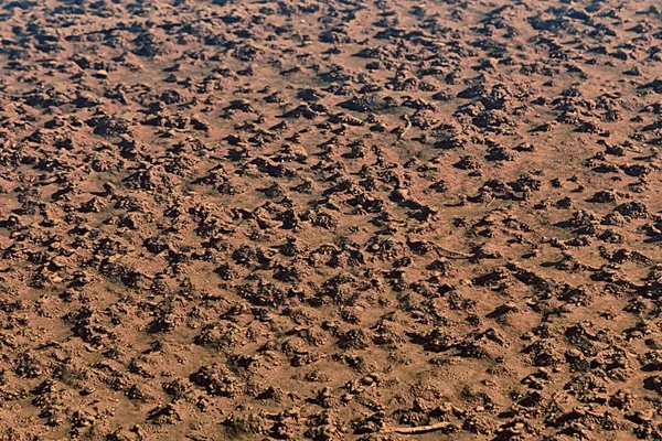 Schilderachtige Vulkanische Landschap Danakil Woestijn Ethiopië Afrika — Stockfoto