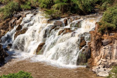 in  ethiopia africa the  awash national park  and the falls nature wil clipart