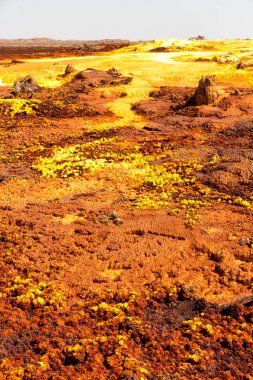  Danakil Etiyopya Afrika volkanik depresyon  