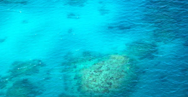 Australia Natuarl Park Gran Arrecife Del Alto Concepto Paraíso — Foto de Stock