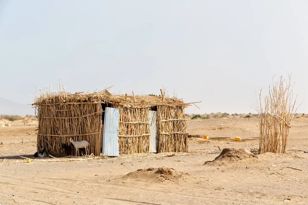 En el desierto de piedra la pobre casa de la gente — Foto de Stock