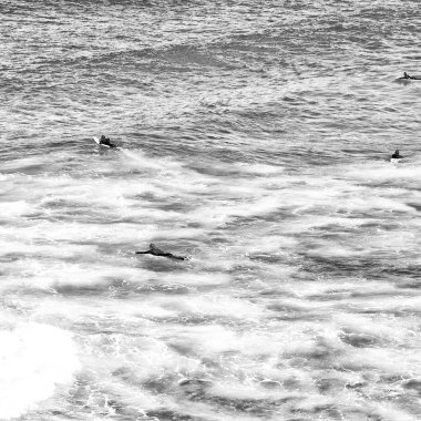 insanlar okyanus sörf ve spor