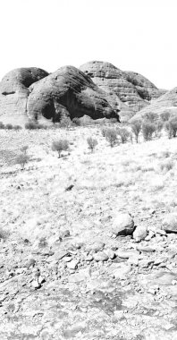 Avustralya outback Kanyon ve ağacın yanında dağ doğa