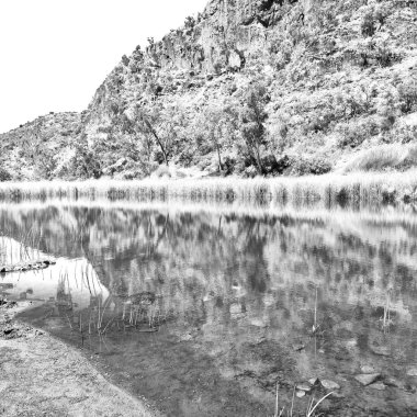 Avustralya natuarl kings Kanyon ve nehir kenarında doğa dağ