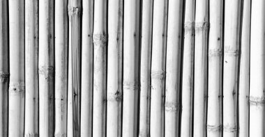 doku arka plan bambu duvar ve malzeme dekor