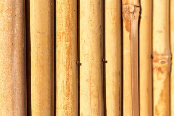 Abstracte textuur achtergrond van de muur van bamboe — Stockfoto