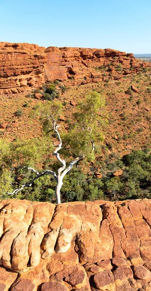 Austrália Reis Canyon Natureza Selvagem Outback — Fotografia de Stock