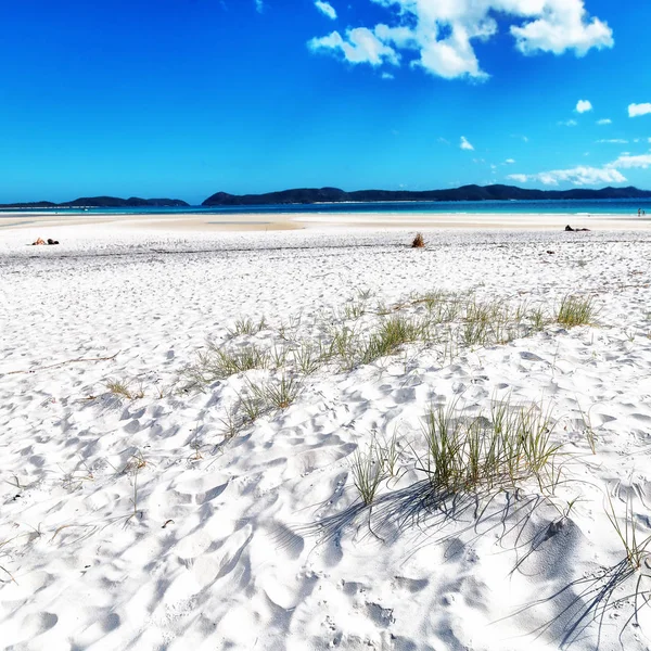 オーストラリアの楽園のようなビーチで — ストック写真