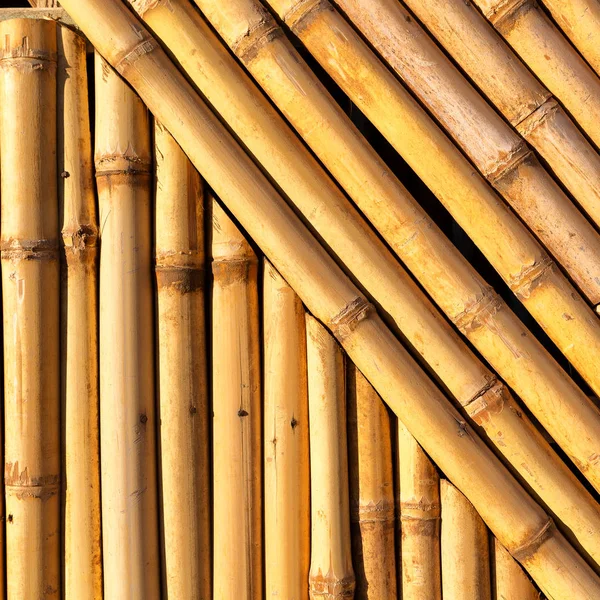 Abstrato textura fundo da parede de bambu — Fotografia de Stock