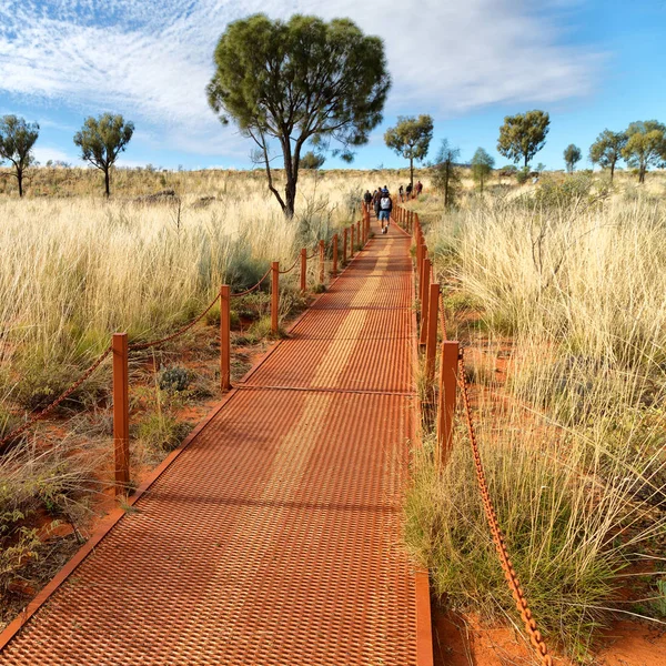 Australia Cañón Interior Naturaleza Salvaje Arbusto — Foto de Stock