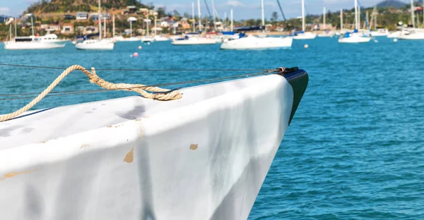 Australië Het Concept Van Het Zeilen Met Een Catamaran Prow — Stockfoto