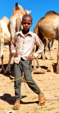 Etiyopya, Babile-Ocak 2018--tanımlanamayan çalışan genç çocuk deve piyasada yaklaşık