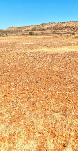 Naturaleza salvaje y interior en la caída del meteorito — Foto de Stock