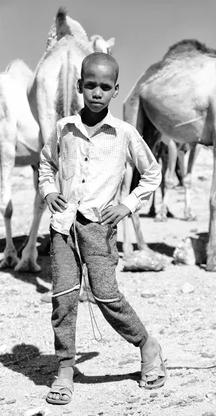 In Etiopia Africa giovane ragazzo nel mercato dei cammelli — Foto Stock