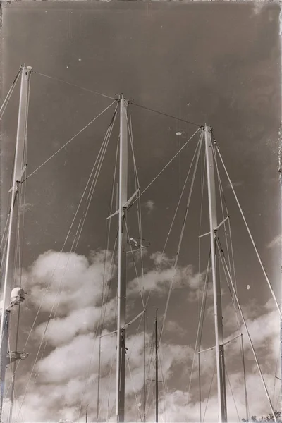 帆ツリーのナビゲーションの概念 — ストック写真