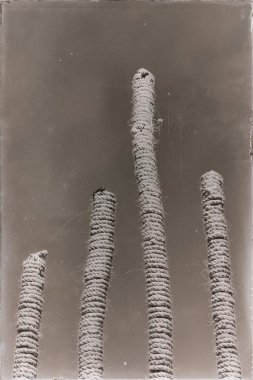  gökyüzü bambu ve ip soyut 