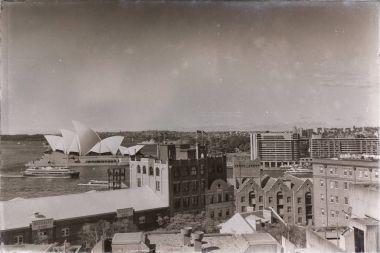 koyun ve şehir manzarası