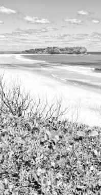 Avustralya'da plaja ada ağaç ve kayalar