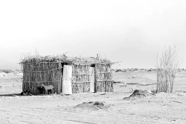 in   ethiopia africa  the poor house of people in the desert of stone