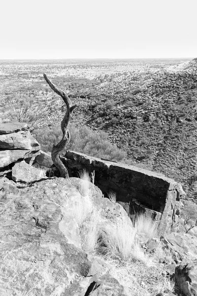 Kings canyon přírodě divoké a outback — Stock fotografie