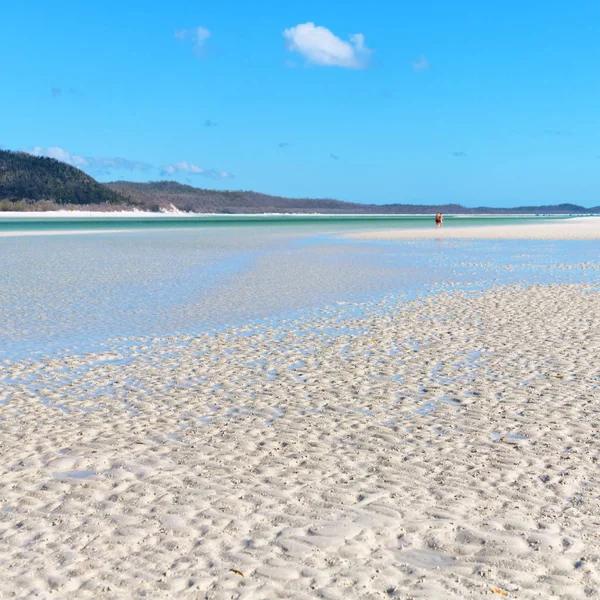 I Australien stranden som paradis - Stock-foto