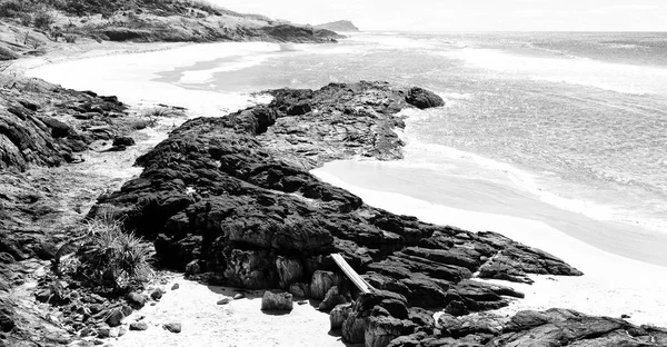 В Австралії пляжу острова дерева і скелі — стокове фото